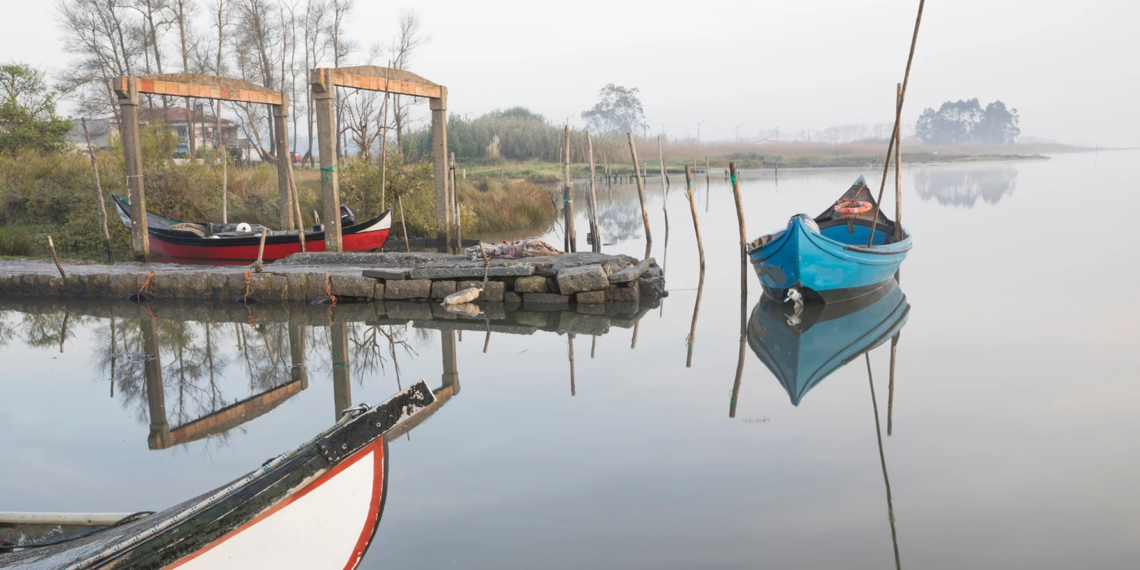 La Albufera de Valencia, dónde coger la barca y cuándo