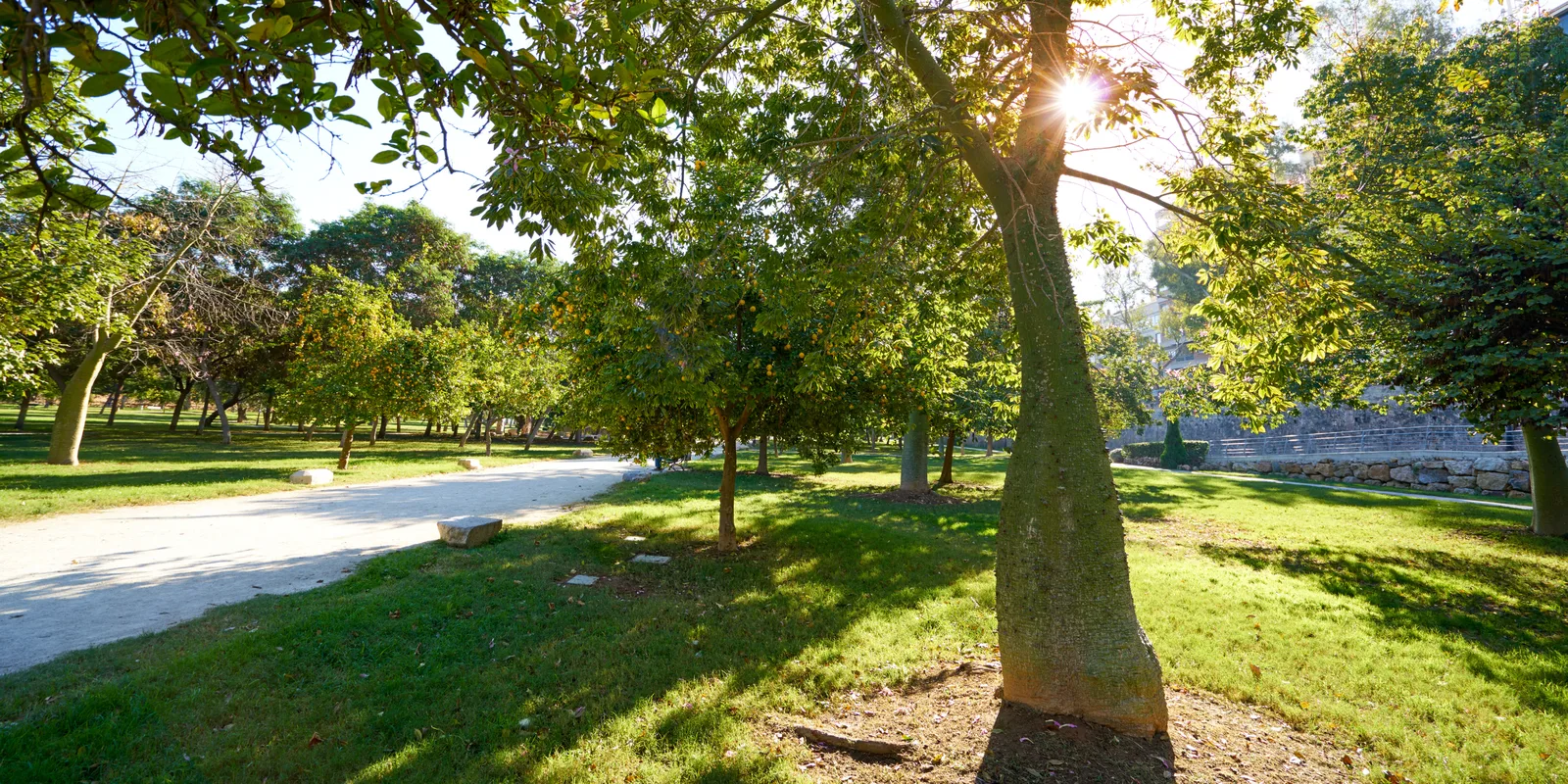 Jardín del Turia, qué hay en cada uno de sus 18 tramos